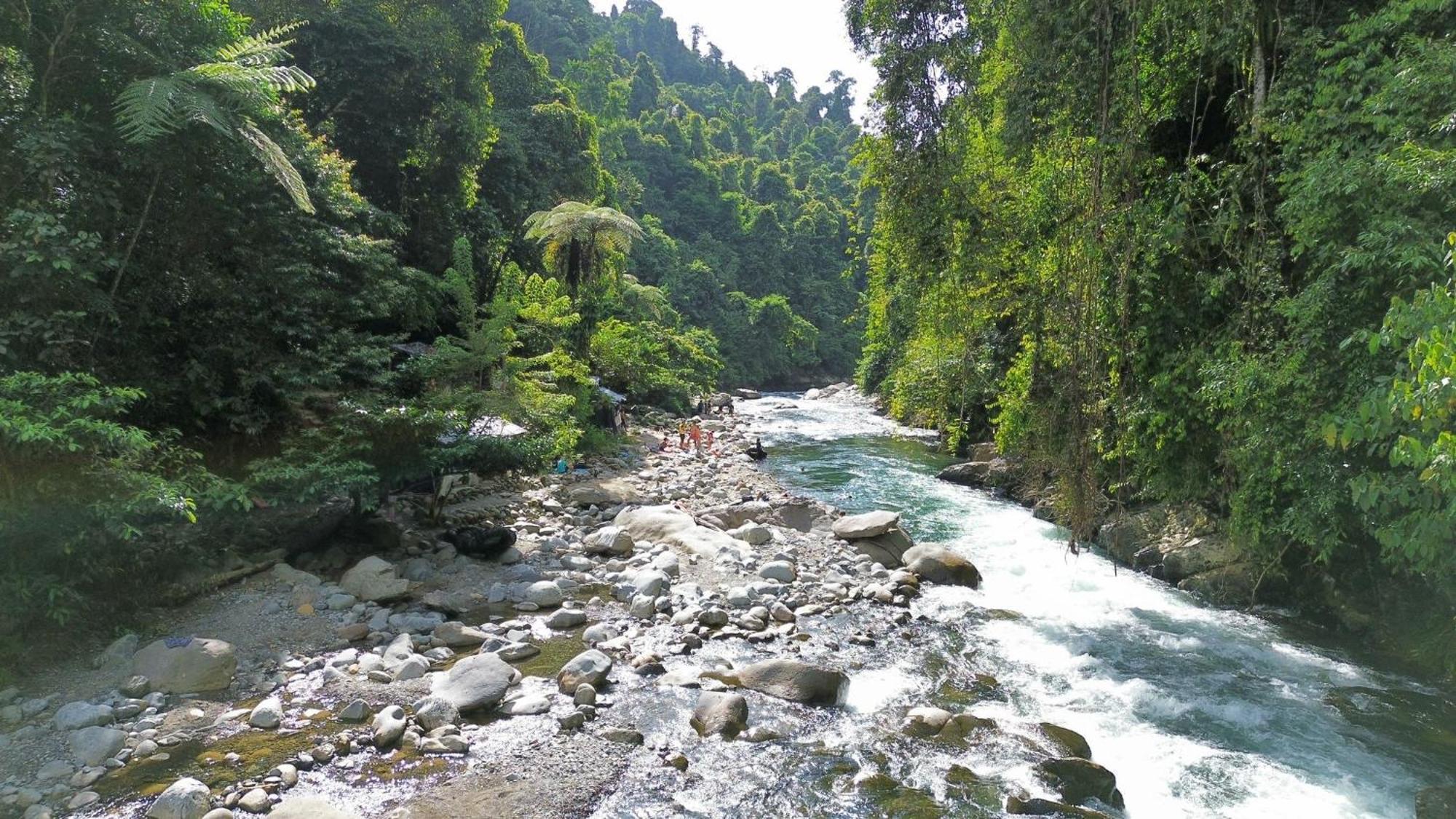 Sam'S Bungalows And Treks Букит-Лаванг Экстерьер фото