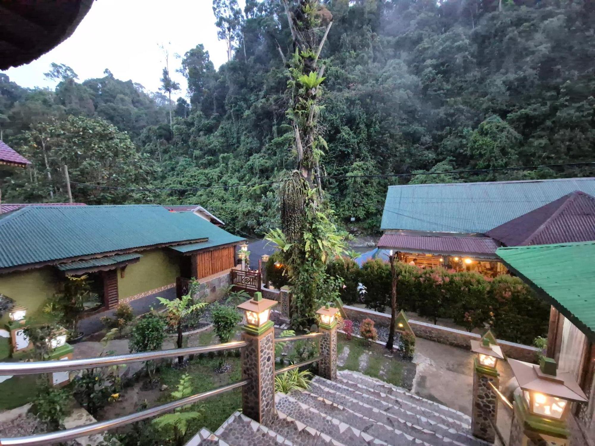 Sam'S Bungalows And Treks Букит-Лаванг Экстерьер фото